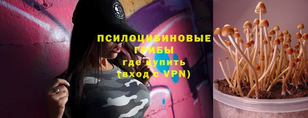 эйфоретик Богданович