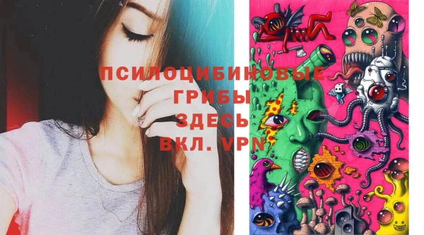 эйфоретик Богданович
