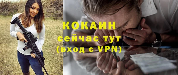 эйфоретик Богданович