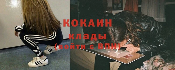 эйфоретик Богданович