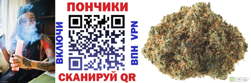 Бошки марихуана сатива  blacksprut вход  Сковородино  где купить  
